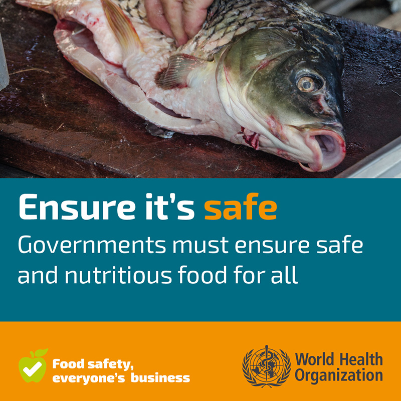 Ensure it's safe Governments must ensure safe and nutritious food for all